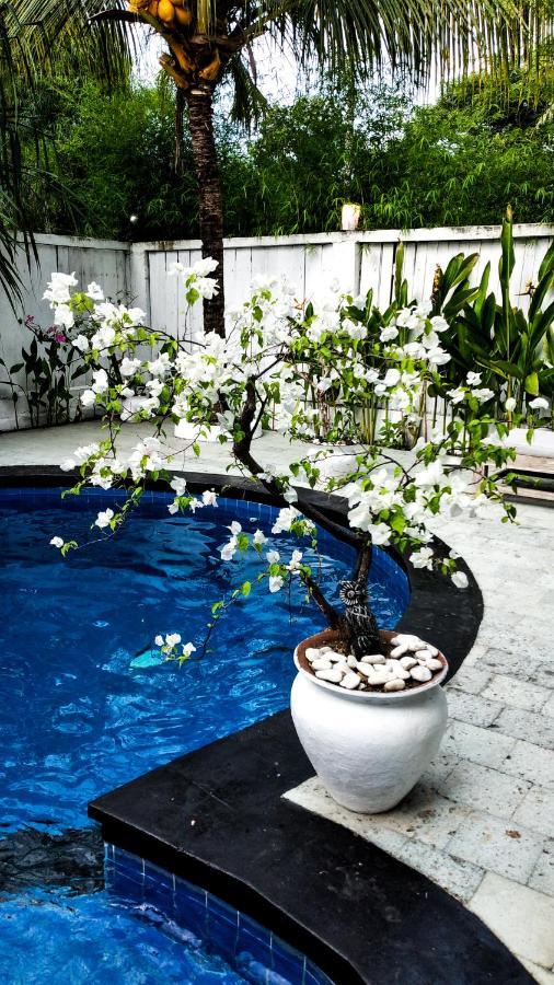 길리 아이르 Gili Moonlight Retreat 빌라 외부 사진
